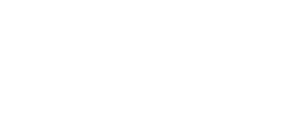 The Ziv Collection